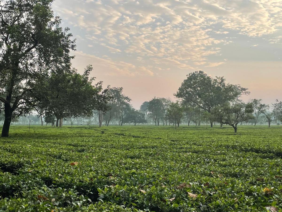 Tea Resort Saraswatipur Shaugaon Exterior foto
